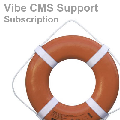 Vibe CMS Support